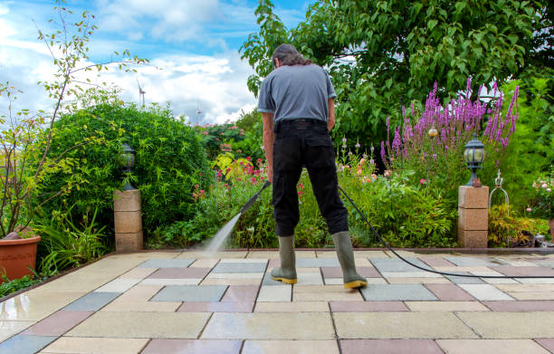 Animal Enclosure Cleaning in Peridot, AZ