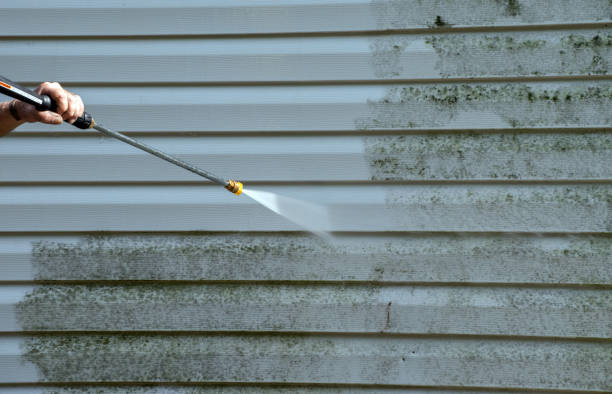 Best Driveway Pressure Washing  in Peridot, AZ
